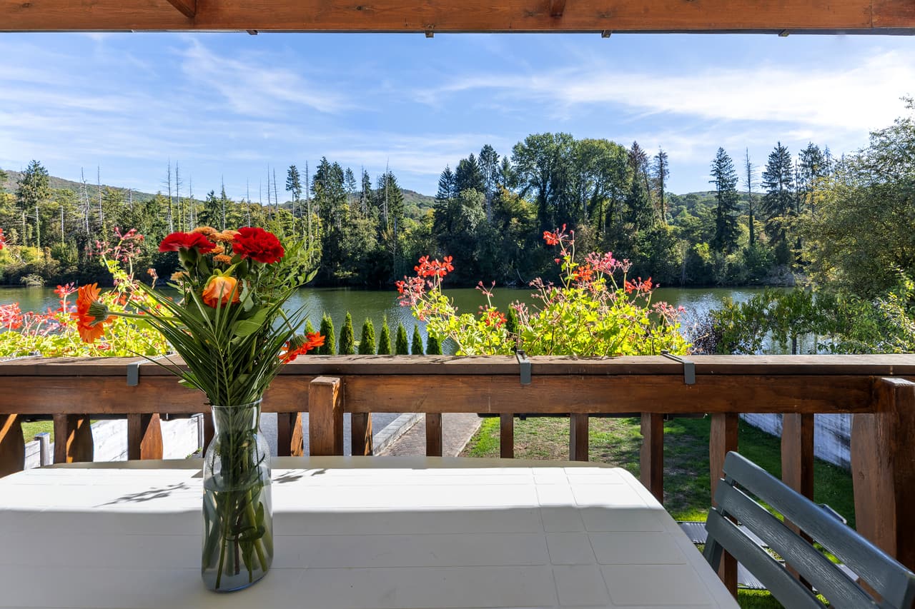 Flowers on the terrace rail, above the water