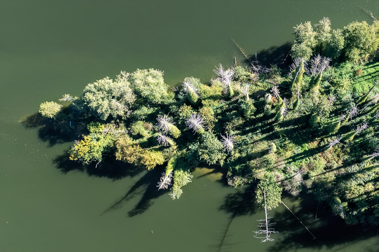 A wooded island in the middle of the Meuse, seen from above