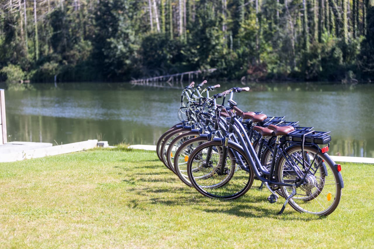 Electric bikes lined up on the lawn, by the Meuse