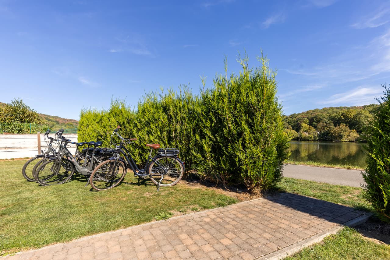 Electric bikes along the hedge, the river behind