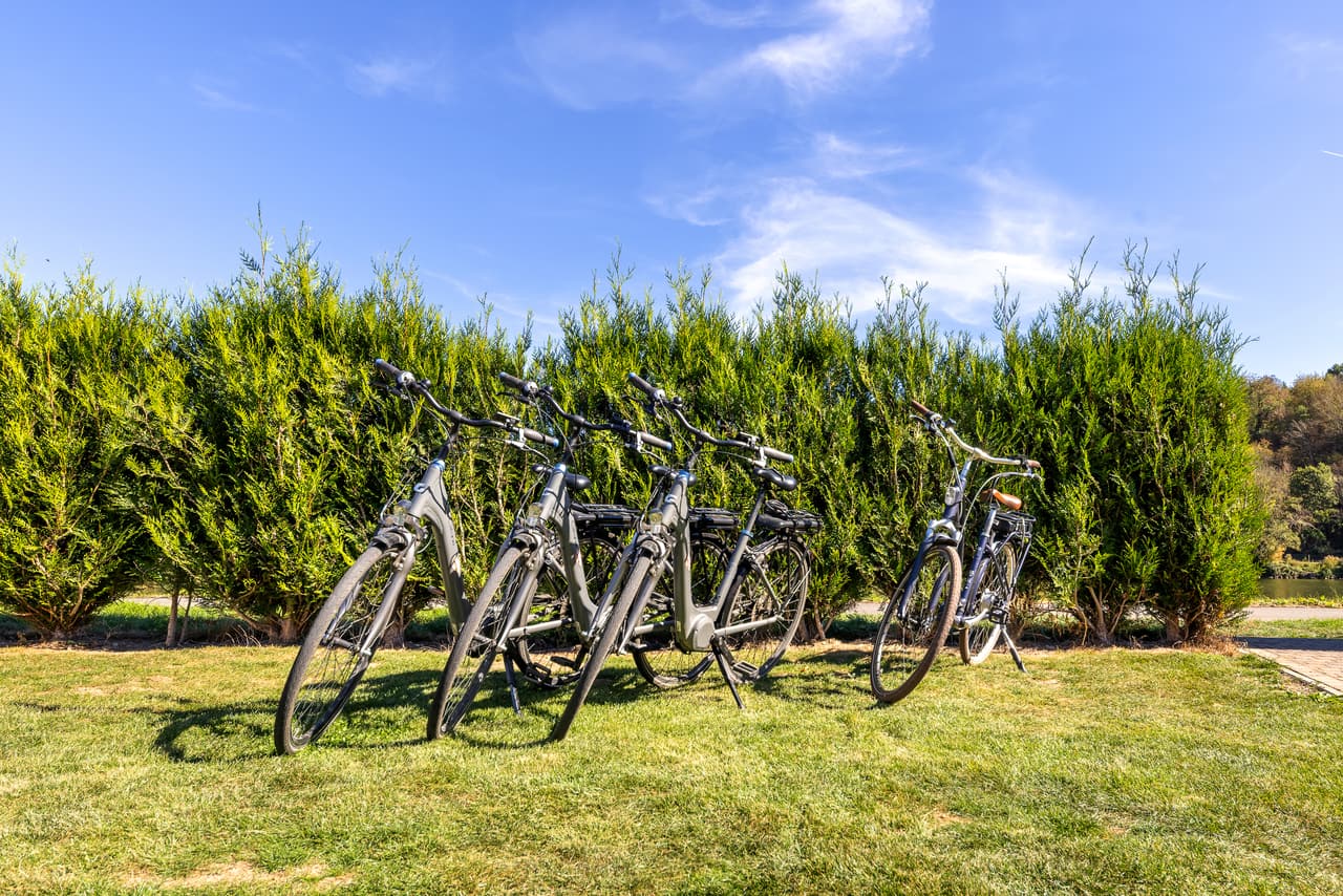 Five electric bikes on the lawn
